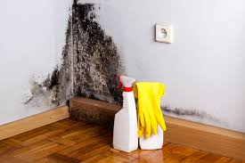 Best Commercial Mold Inspection  in Mount Healthy Heights, OH